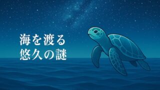 藍を継ぐ海 あらすじ｜舞台はどこ？モデルとなった場所を徹底解説 