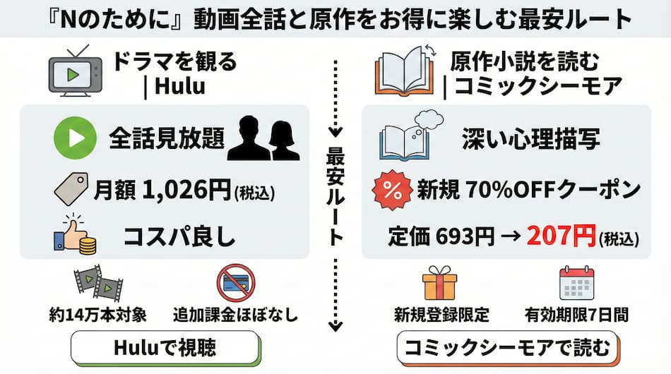 「Nのために」を購読・視聴する方法の解説図解