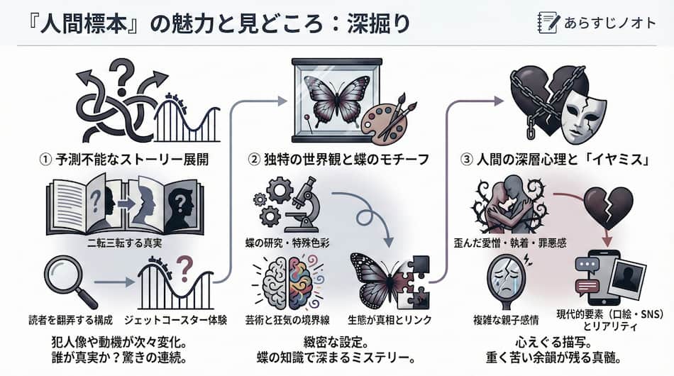 「人間標本」見どころの図解