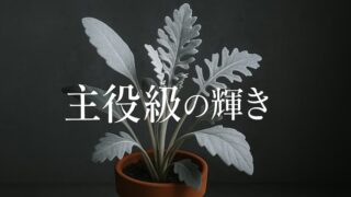 しろがねの葉 あらすじ｜過酷な運命を生きる女性の物語【直木賞受賞作】 