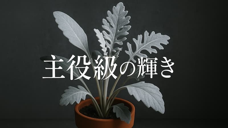 しろがねの葉 あらすじ|過酷な運命を生きる女性の物語【直木賞受賞作】