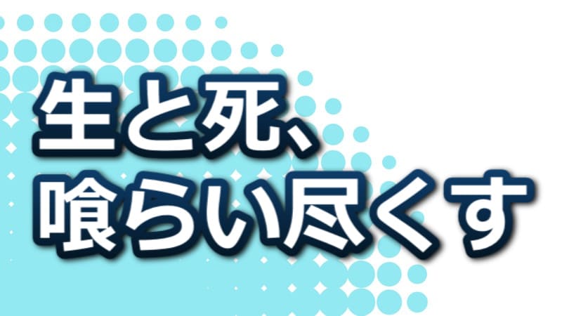 ともぐい あらすじ|直木賞受賞作の魅力と「熊文学」としての深み