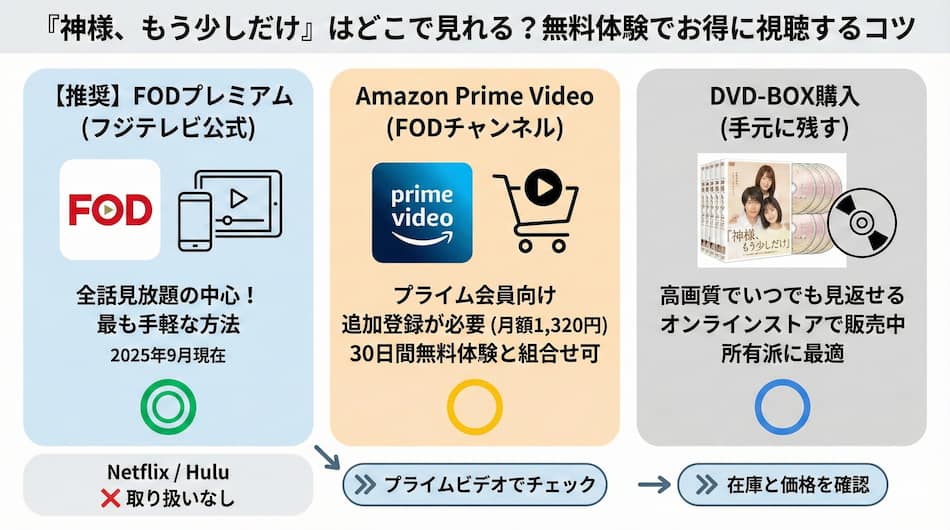 『神様、もう少しだけ』を見る方法の図解