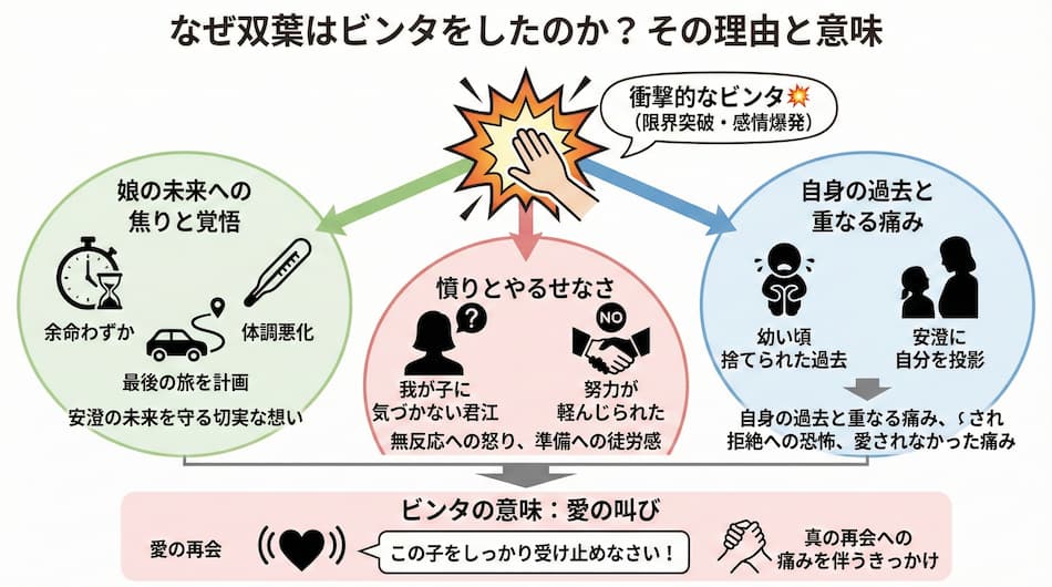 「湯を沸かすほどの熱い愛」なぜ双葉はビンタをしたのか？の解説図解