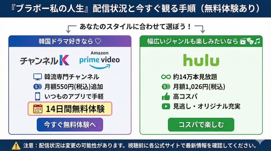 『ブラボー私の人生』の視聴方法の図解